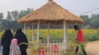 কৃষি উদ্যোক্তার শখের সূর্যমুখীর বাগান এখন বিনোদন কেন্দ্র