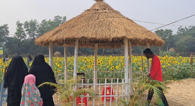 কৃষি উদ্যোক্তার শখের সূর্যমুখীর বাগান এখন বিনোদন কেন্দ্র