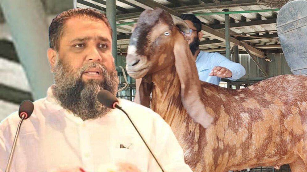 অর্থপাচার মামলায় সাদিক অ্যাগ্রোর চেয়ারম্যান ইমরান হোসেন গ্রেফতার