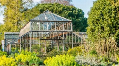 যুক্তরাজ্যের সেরা বাগান হিসেবে স্বীকৃতি পেল কেমব্রিজ বিশ্ববিদ্যালয়ের বোটানিক গার্ডেন