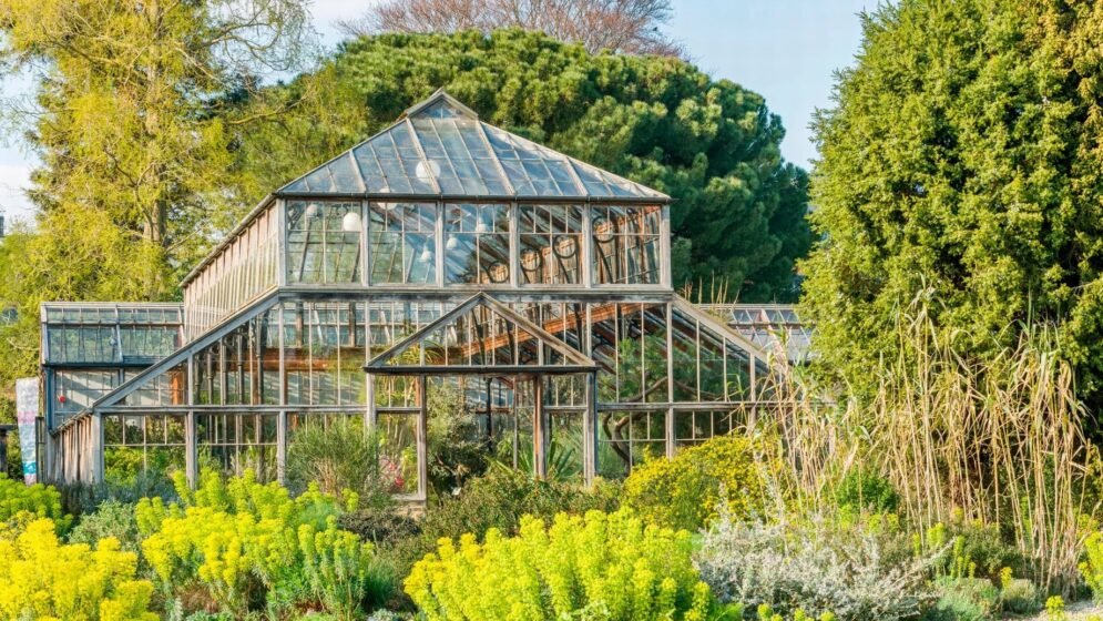 যুক্তরাজ্যের সেরা বাগান হিসেবে স্বীকৃতি পেল কেমব্রিজ বিশ্ববিদ্যালয়ের বোটানিক গার্ডেন