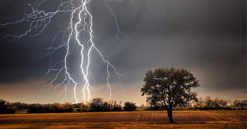 বজ্রপাতে দেশের পাঁচ জেলায় ১১ জনের মৃত্যু