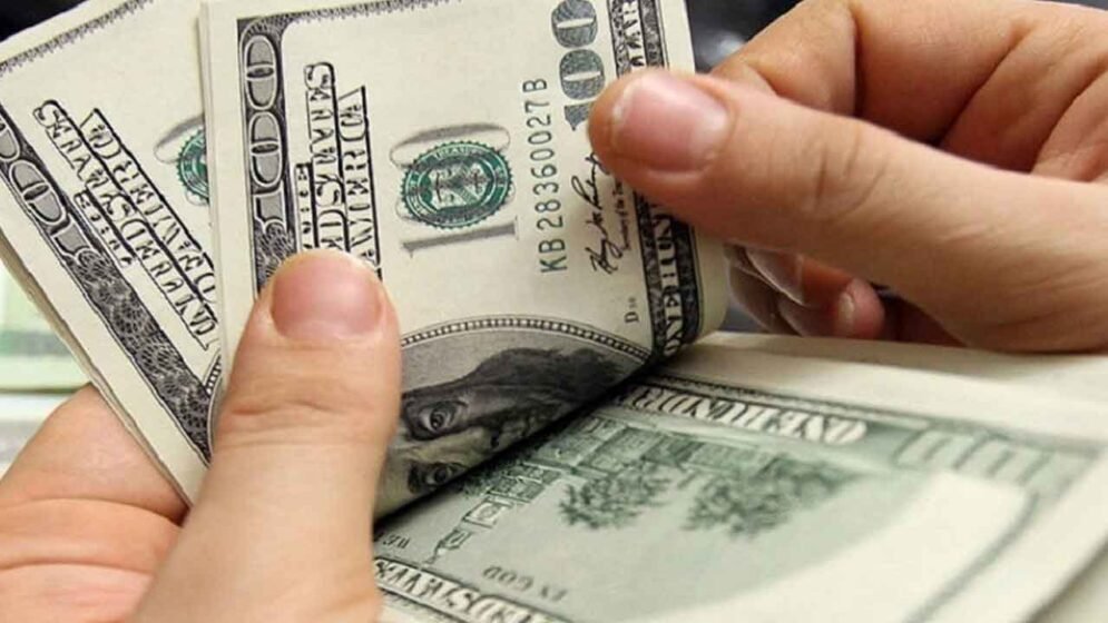 ২৬ দিনে ২২৭ কোটি ডলার দেশে পাঠিয়েছেন প্রবাসীরা