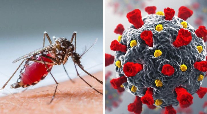 ডেঙ্গু ও করোনার ঝুঁকি বাড়ছে, জ্বর হলে সতর্ক হোন