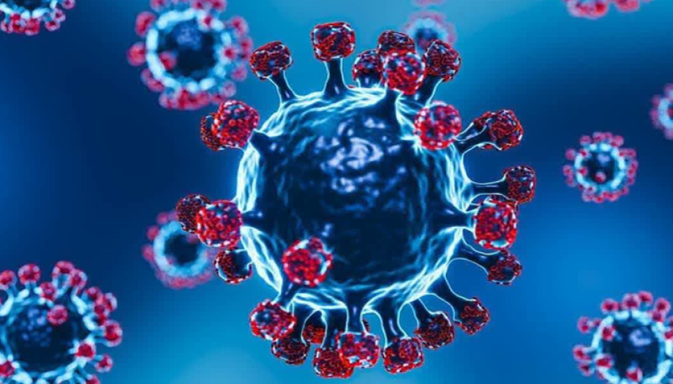 সিলেটে করোনায় ২ জন ও ডেঙ্গুতে ১ জন আক্রান্ত