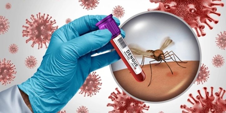 সিলেট বিভাগে করোনায় আক্রান্ত ৭, ডেঙ্গু শনাক্ত ২৪