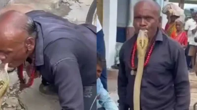 বিষধর সাপের ফণা মুখে ধরে অবিশ্বাস্য কাণ্ড ভারতীয় যুবকের