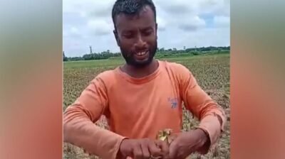 ব্যাঙকে হত্যার ভিডিও ভাইরাল, তদন্তে প্রশাসন